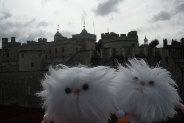 Welcome to the famous Tower of London!