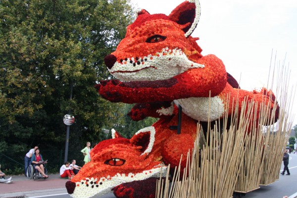 Part 2 – The Amazing Flower Parade
