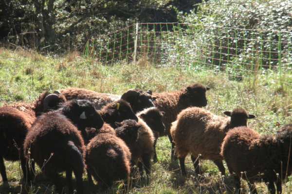 Farming in France