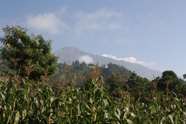 Climbing Mount Kili…. Or Not!