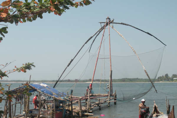 Cruising Through Cochin