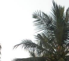 South Goa is what I call Paradise