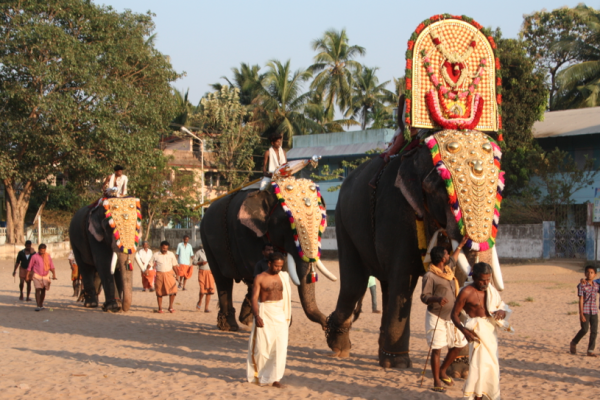 Fabulous Temple Festival!